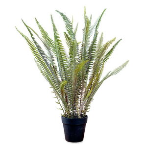 yő3,000~OFFN[|LIPT3{IX[p[SALEztFCNO[ {Xgt@[ | lHA  tFCN O[ CeA JtF  lHϗtA JtFK[f 썑 