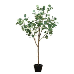 tFCNO[ [J | lHA  tFCN O[ CeA JtF  lHϗtA JtFK[f 썑 fBXvC G