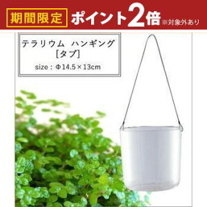 yő3,000~OFFN[|LI10PT2{zeE nMO 14.5×13cm | nMO eE Aؔ CeA |bg K[fjO 悹A Vv _