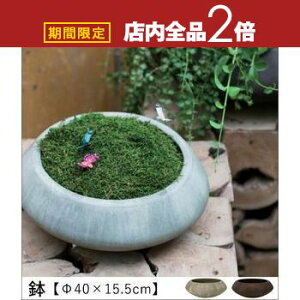 y}\IXSiPT2{Iő3000~OFFN[|Lz 40×15.5cm | Aؔ  A |bg K[fjO 悹A Vv _