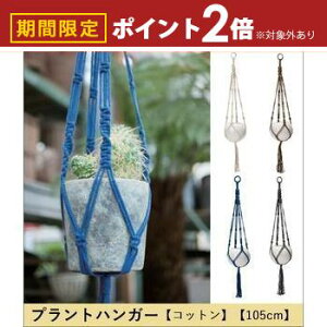 yő3,000~OFFN[|LI10PT2{zvgnK[ Rbg 105cm | vgnK[ nMO eE Aؔ CeA |bg K[fjO 悹A Vv _ R