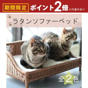 yő3,000~OFFN[|LI5 PT2{Izybgp^\t@[xbh | ybgp \t@[  ^ xbh lR  L ybg ybg\t@[  nhCh VRfރxbh