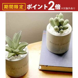 yő3,000~OFFN[|LI10PT2{z[hfBt[U[ | [hfBt[U[ [h fBt[U[ A} A} ft[U[ fBXyT[  킢 i`