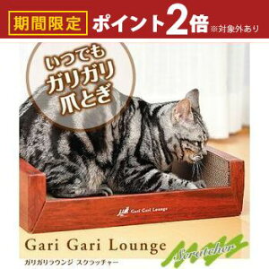 yő3,000~OFFN[|LI10PT2{zEW^NE`O^Cv KKEW Lp ܂Ƃ | _{[ L ܂Ƃ ܌ i{[ ߂Ƃ XNb`[ CeA ~