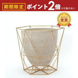 yő3,000~OFFN[|LI5 PT2{IzC[t[|bg | v^[ K[fpi |pi  K[f|bg |bg A  Aؔ K[fjO d  Vv 