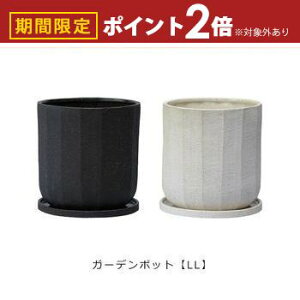 yő3,000~OFFN[|LI5 PT2{IzK[f|bg LL | v^[ TCY K[f|bg |bg  Aؔ v^[ A K[fpi |pi  K[fjO