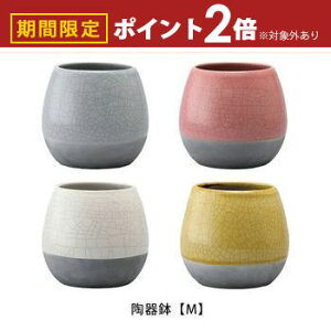 y}\IXSiPT2{Iő3000~OFFN[|Lz픫 MTCY | Aؔ  픫 a14.5cm  Vv|bg v^[ K[f|bg |bg  Aؔ