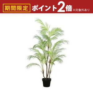 yő3,000~OFFN[|LI30 PT2{IztFCNO[ AJV | lHA  tFCN O[ CeA JtF  lHϗtA JtFK[f 썑 fBXv