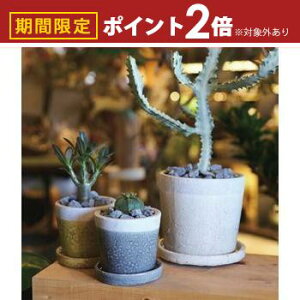 yő3,000~OFFN[|LI30 PT2{IzK[f|bg TCY2Zbg | v^[ Zbg 󂯎Mt A  A O  K[f Aؔ K[fjO |bg v