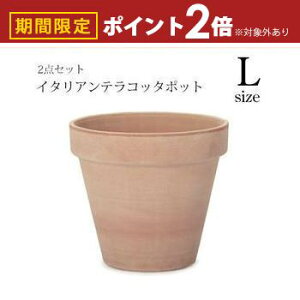 【最大3,000円OFFクーポン有!25日限定 PT2倍!】ガーデンポット 同サイズ2個セット | プランター セット 植物 庭 鉢植え 屋外 おしゃれ ガーデン 植木鉢 ガーデニング ポット 陶器プランツギャ