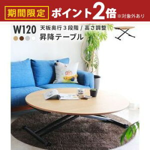 yő3,000~OFFN[|LI15 PT2{Iz~e[u ACX  120cm tge[u TCY rOe[u _CjOe[u [e[u Z^[e[u 