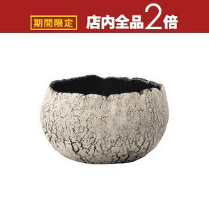 yő3,000~OFFN[|LI10PT2{zV L v^[ Aؔ ԕr  I IV   f fp  v^[  GgX 킢  t[