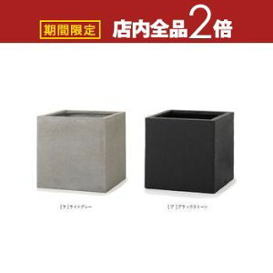 yő3,000~OFFN[|LIPT2{IԌz^v^[ Aؔ v^[ ^ 傫 傫 L[u lp lp` ` Vv  킢 m mg[ ze r 