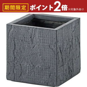 yő3,000~OFFN[|LI1 PT2{IzO[x[X 6p 6p 6 6  A Aؔ y y v^[ Jo[ AؔJo[  | |bg A ϗtA A X^h 