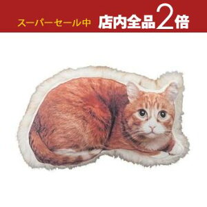 yX[p[Z[Iő3,000~N[|LIXSiP2{IzNbV lR L ˂ L tFCNt@[ Lbg cat t@[ ӂӂ L vg fUC  ANZg I 