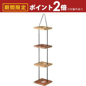 yő3,000~OFFN[|LI30 PT2{IznMOv^[4i ݂艺 v^[X^h 4A 4D Aؔ ݂艺 A v^[ O[ ϗtA  CeA 