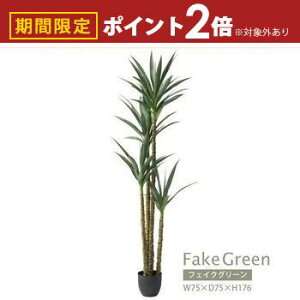 yő3,000~OFFN[|LI30 PT2{IztFCNO[ | AKx GRN-18 CeA rO _CjO K[f lHA lH ϗtA  U A R  s