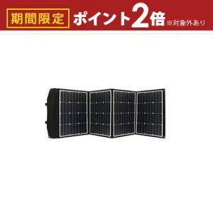 yő3,000~OFFN[|LI1 PT2{IzGXPCWp \[[pl SKJ-MTSP16 | SK JAPAN SKJMTSP16 \[[ 160W