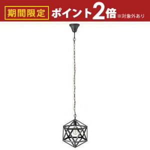【最大3,000円OFFクーポン有!30日限定 PT2倍!】ライト / おしゃれ ペンダントライト 照明 ブラック アンティーク 電球 インテリア 北欧 レトロ 電気 間接照明 寝室 1灯 ランプ 天井照明 シャ