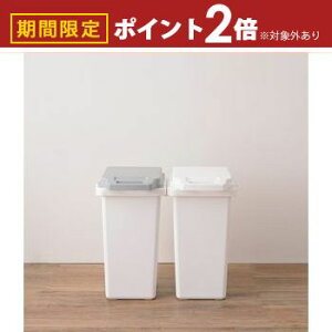 【最大3,000円OFFクーポン有!25日限定 PT2倍!】抗菌ペール 防臭 45JS / ゴミ箱 ダストボックス 抗菌ペール 抗菌 防臭 防汚加工 パッキン付き キッチン 連結可能 ロック付き シンプル 菌に強い