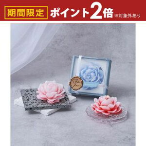 yő3,000~OFFN[|LI5 PT2{IzA}Lh A}t[Lh mercyu V[[ tOX t[ bNXACe  낤 C ґz F 