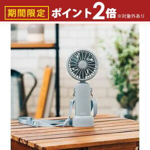 yő3,000~OFFN[|LI10PT2{znfBt@ / PR-F081 3iK ʒ Y É @ X RpNg X^h A} fBt[U[ R [d USB 莝