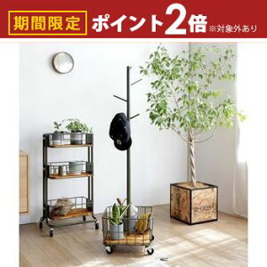 yő3,000~OFFN[|LI1 PT2{Iz[JSt |[nK[ pCEbh×ACA 137cm R[gnK[ nK[|[ nK[bN Xq  Xq| C[