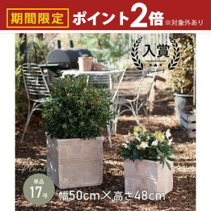 yő3,000~OFFN[|LI1 PT2{Iz^ v^[ 17 | v^[ ^ Aؔ  K[f|bg A Vv L[u _ AeB[N K[f K[fjO 