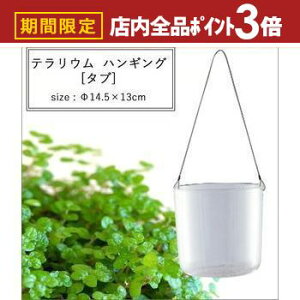 yő3,000~OFFN[|LIPT3{IubNtCf[zeE nMO 14.5×13cm | nMO eE Aؔ CeA |bg K[fjO 悹A Vv _