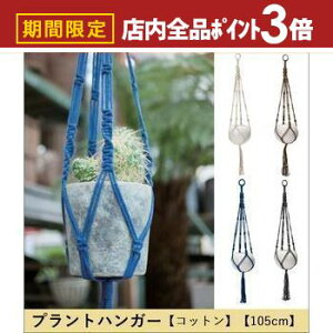 yő3,000~OFFN[|LIPT3{IubNtCf[zvgnK[ Rbg 105cm | vgnK[ nMO eE Aؔ CeA |bg K[fjO 悹A V