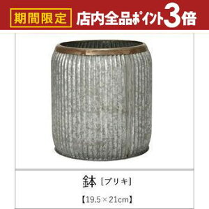 yő3,000~OFFN[|LIPT3{IubNtCf[z uL 46×51cm | Aؔ  A |bg K[fjO 悹A Vv _ uL 񂹐A AeB[N