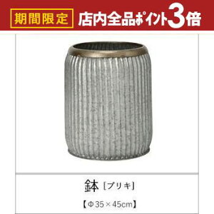 yő3,000~OFFN[|LIPT3{IubNtCf[z uL 35×45cm | Aؔ  A |bg K[fjO 悹A Vv _ uL 񂹐A AeB[N