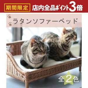 yő3,000~OFFN[|LIPT3{IubNtCf[zybgp^\t@[xbh | ybgp \t@[  ^ xbh lR  L ybg ybg\t@[  nhCh V