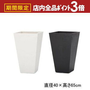 yő3,000~OFFN[|LIPT3{IubNtCf[zXNGA g[v^[ | v^[ Aؔ  Jo[ A Vv _K[f K[fjO  vcMU