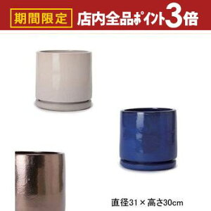 yő3,000~OFFN[|LIPT3{IubNtCf[z10 󂯎Mt v^[ | v^[ Aؔ  Jo[ A |bg 悹A Vv _K[f K[fjO  v