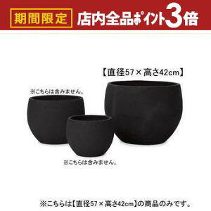 yő3,000~OFFN[|LIPT3{IubNtCf[z19 {E v^[ | v^[ Aؔ  Jo[ A Vv _K[f K[fjO  vcMUO u