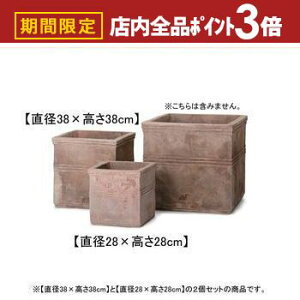 yő3,000~OFFN[|LIPT3{IubNtCf[z139 2Zbg eRb^ L[u v^[ | Aؔ  Jo[ A |bg 悹A Vv K[fjO K[fj