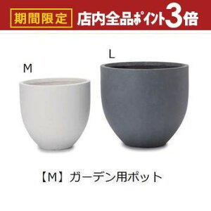 yő3,000~OFFN[|LIPT3{IubNtCf[zK[fp|bg M |  v^[ Aؔ fBXvC CeA K[fjO K[fG |bg O[ A  