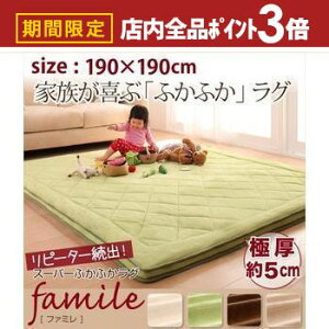 yő3,000~OFFN[|LIPT3{IubNtCf[zO 190×190cm | 190cm ӂӂO  ɌO }CNt@Co[ zbgJ[ybgOK g[Ή I[V[Y 5cm 