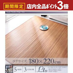 yő3,000~OFFN[|LIPT3{IubNtCf[z 180×220cm ou[O | O }bg AWA fUC | ou[O J[ybg rO CeA V[Y ߓd