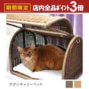 yő3,000~OFFN[|LIPT3{IubNtCf[z ^L[xbh | I[nhCh VRfރxbh Lbgxbh Lbg LbgnEX  gE ^ x