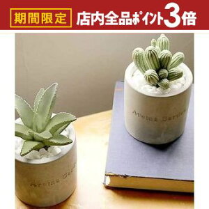 yő3,000~OFFN[|LIPT3{IubNtCf[z[hfBt[U[ | [hfBt[U[ [h fBt[U[ A} A} ft[U[ fBXyT[  킢