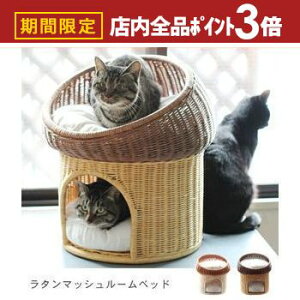 yő3,000~OFFN[|LIPT3{IubNtCf[z ybgp^}bV[xbh | I[nhCh VRfރxbh Lbgxbh Lbg LbgnEX  