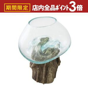 yő3,000~OFFN[|LIPT3{IubNtCf[zOXIuWF  KX | IuWF CeA   G CeAG u A[g ԉo o lC  