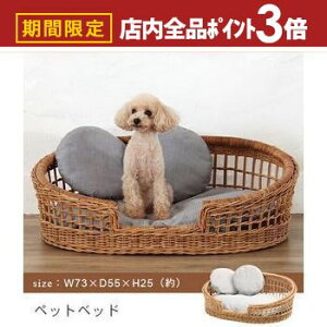 yő3,000~OFFN[|LIPT3{IubNtCf[z ybgJh[ ybgxbh | G ybg Jh[ xbh CeA oXPbg   ^ AWA y R VRf