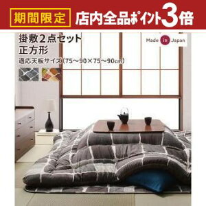 yő3,000~OFFN[|LIPT3{IubNtCf[z|~zc TCY80×80 | zc R^czc p|zc m a A[g _ UCN A[g_ 