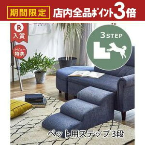 yő3,000~OFFN[|LIPT3{IubNtCf[zybgXebv 3i | hbOXebv  ybg Xebv  Ki ^  ~j`A_bNX ` v[h S y