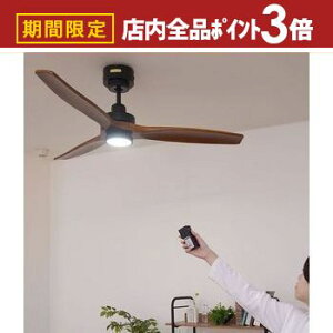 yő3,000~OFFN[|LIPT3{IubNtCf[zV[Ot@ | LED Ή R V[Ot@Cg IV VƖ 6 8 k JtF _ Q Ɩ rO