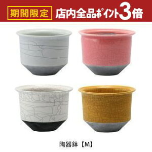 yő3,000~OFFN[|LIPT3{IubNtCf[z픫 MTCY | Aؔ  픫 17.5cm  Vv|bg v^[ K[f|bg |bg  Aؔ v^[ A