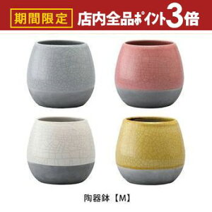 yő3,000~OFFN[|LIPT3{IubNtCf[z픫 MTCY | Aؔ  픫 a14.5cm  Vv|bg v^[ K[f|bg |bg  Aؔ v^